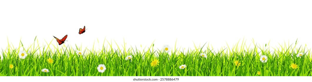 Grass banner, spring background, meadow border with flowers