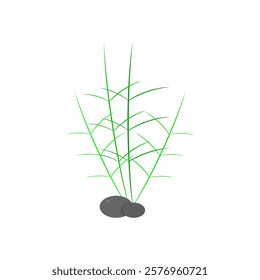 grass behind the stone. nature theme. vector illustration