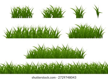 Coleção Grande De Grama Com Fundo Branco , Ilustração De Vetor