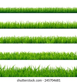 Grass Big Set, Vector Illustration