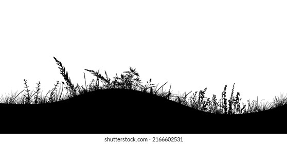 Siluetas negras de hierba. Ilustración del vector