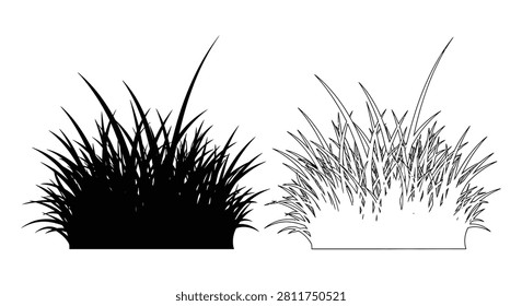 Grass blades silhouette and line drawing on a white background silhouette