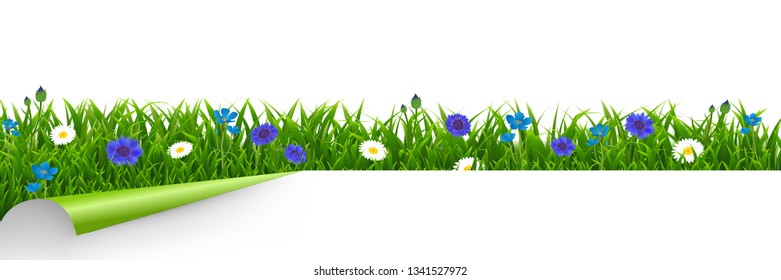 Grass And Blue Flowers Border White Background With Gradient Mesh, Vector Illustration