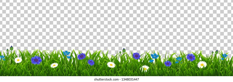 Flores De Grasa Y Azul Fondo Transparente Con Malla De Gradiente, Ilustración Vectorial