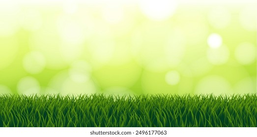 Grass Border With Background With Bokeh, Vector Illustration