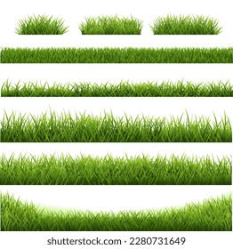 Grass Border Big Set And White Background With Gradient Mesh, Vector Illustration