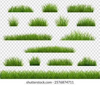 Grass Border Collection Transparent Background With Gradient Mesh, Vector Illustration