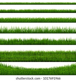 Grass Border Collection White Background, Vector Illustration