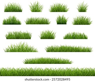 Grass Border Collection White And Transparent Background With Gradient Mesh, Vector Illustration