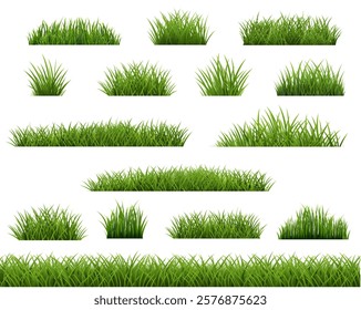 Grass Border Collection White And Transparent Background With Gradient Mesh, Vector Illustration