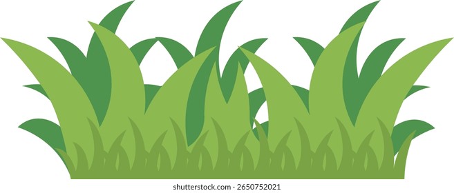 Decoración de la frontera de la hierba aislada en el fondo blanco. Ilustración vectorial