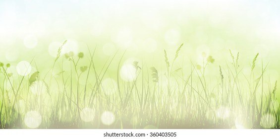 Grass border with faintly visible light blue sky in horizontal, panorama format. Blurry light dots, light effects and partly desaturated colors give it a dreamy feeling for the spring, easter season.