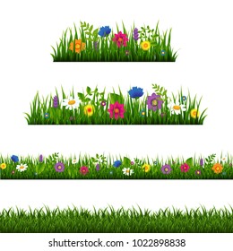 Grass Border With Flower Collection Isolated With Gradient Mesh, Vector Illustration