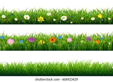 Grass Border With Flower With Gradient Mesh, Vector Illustration