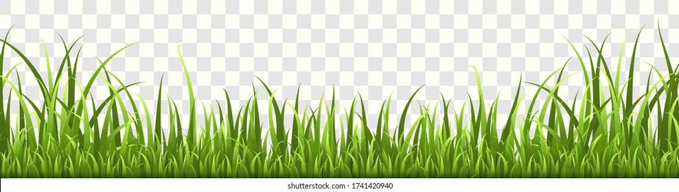 Grass border. Horizontal panorama of natural lawn or meadow in garden, isolated vector eco green spring elements