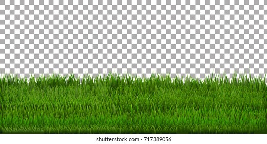 Grass Border With Isolated Background