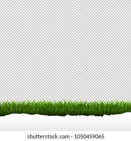 Grass Border Isolated Transparent Background, Vector Illustration