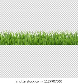 Grass Border Isolated Transparent Background, Vector Illustration