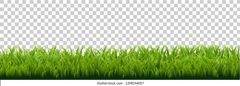 Grass Border Isolated Transparent background, Vector Illustration