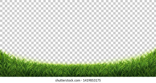 Grass Border Isolated Transparent Background With Gradient Mesh, Vector Illustration