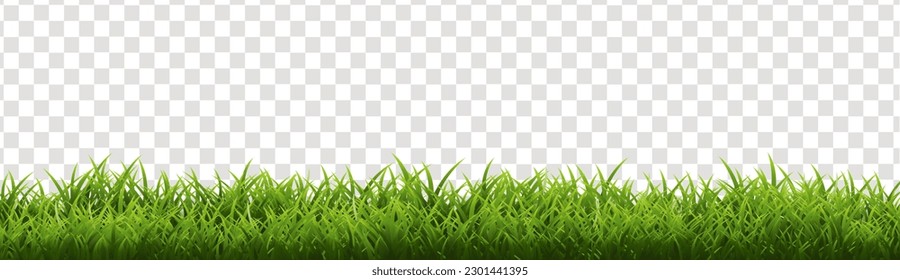 Grass Border With Isolated Transparent Background , Vector Illustration