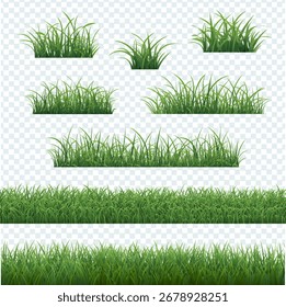 Grass Border Isolated Transparent Background With Gradient Mesh, Vector Illustration