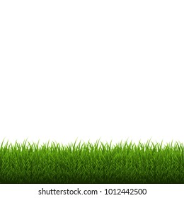 Grass Border Isolated, Vector Illustration