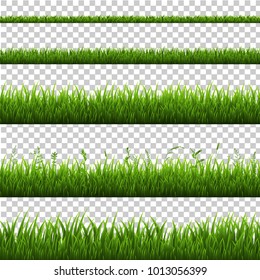 Grass Border Isolated, Vector Illustration