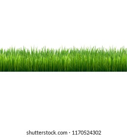 Grass Border Isolated, Vector Illustration