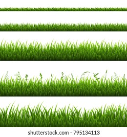 Grass Border Isolated, Vector Illustration - Shutterstock ID 795134113