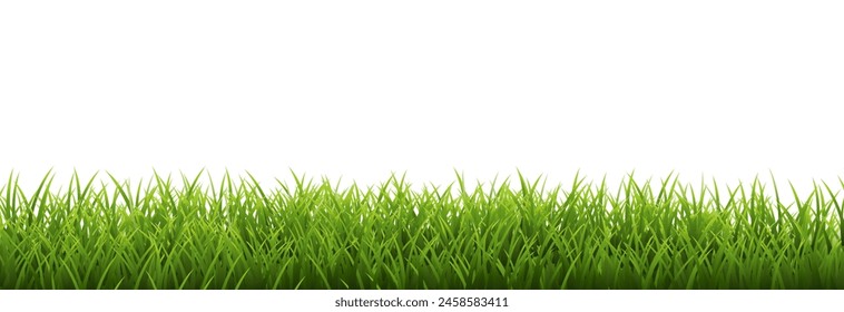 Grass Border Isolated White Background , Vector Illustration