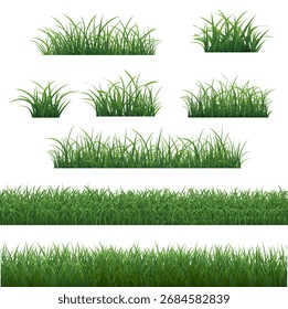 Grass Border Isolated White Background , Vector Illustration
