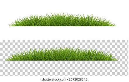 Grass Border Isolated White And Transparent Background
With Gradient Mesh, Vector Illustration