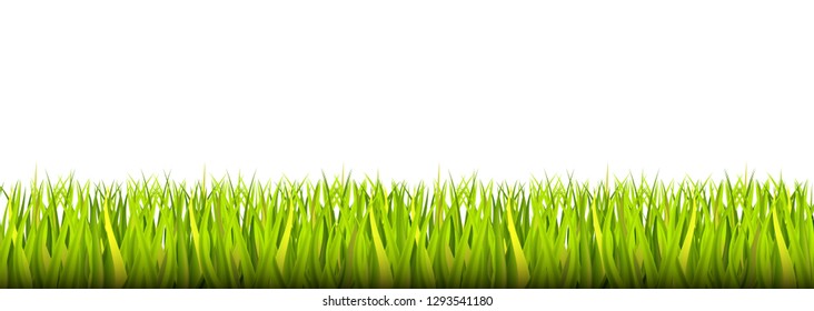Grass Border realistic vector illustration isolated on white green