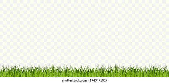 Borde de Grass Seamless, Green Tufts Plantas Horizontal fila. vector