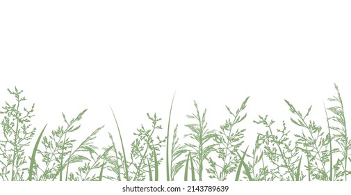 Grass border. Seamless pattern with hand drawn wild meadow grasses, silhouettes herbs and flowers. Vector  illustration on white background