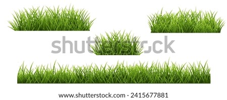 Grass Border Set And Isolated White Background