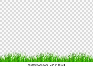 Grass border. Summer natural background, green grass. Vector illustration. Eps 10.