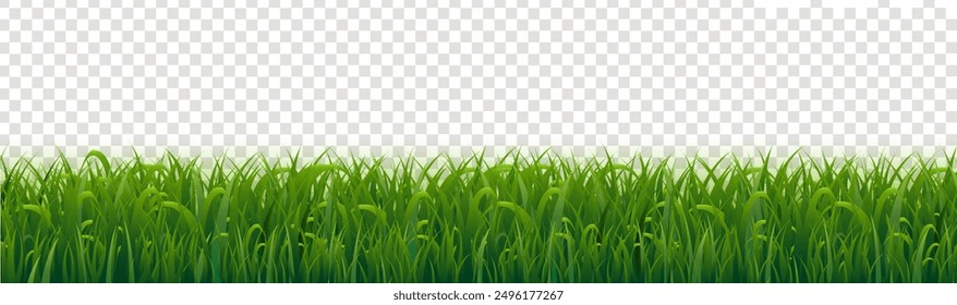 Grass Border With Transparent Background With Bokeh , Vector Illustration 