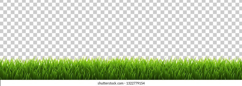 Grass Border Transparent background, Vector Illustration
