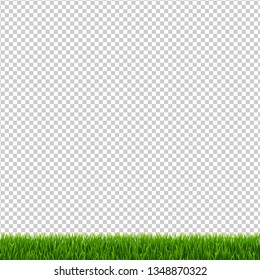 Grass Border Transparent Background, Vector Illustration