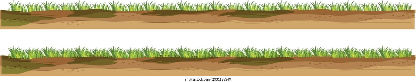 Grass Border Transparent background, Vector Illustration
