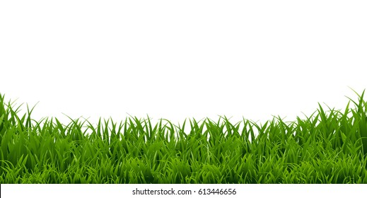 Grass Border, Vector Illustration