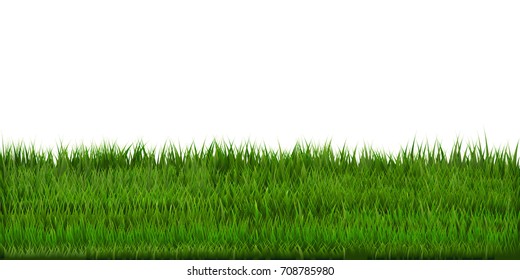 Grass Border, Vector Illustration