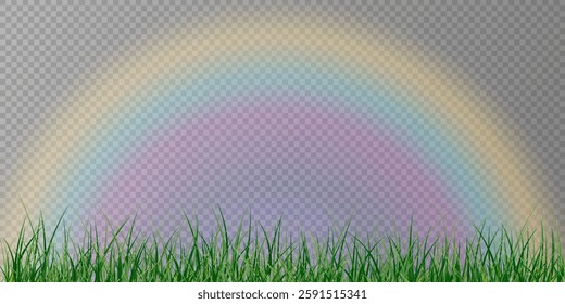 
Grass border, vector illustration.  Green grass, lawn with sun glare.