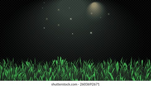 Grass border, vector, illustration. Vector image of grass, lawn. Grass and lawn in PNG format. Green grass with sunny, bright highlights.