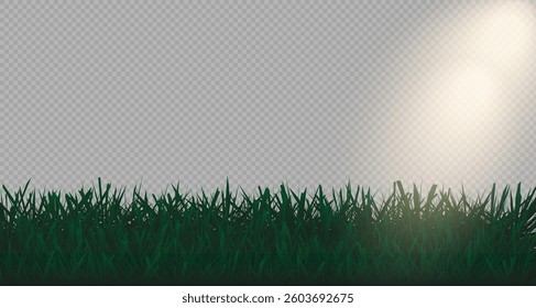Grass border, vector, illustration. Vector image of grass, lawn. Grass and lawn in PNG format. Green grass with sunny, bright highlights.