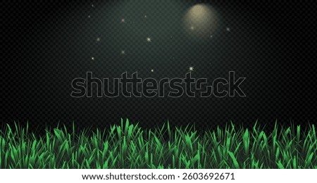 Grass border, vector, illustration. Vector image of grass, lawn. Grass and lawn in PNG format. Green grass with sunny, bright highlights.