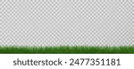 Grass border, vector illustration. Vector grass, lawn. Grass png, lawn png. Green grass with sun glare.