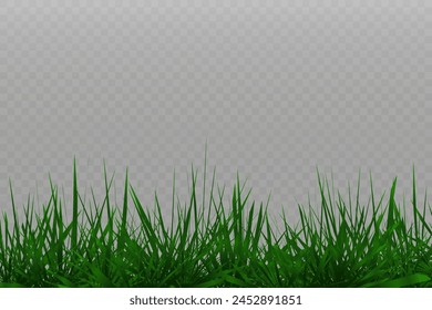 Grass border, vector illustration. Vector grass, lawn. Grass png, lawn png. Green grass with sun glare.